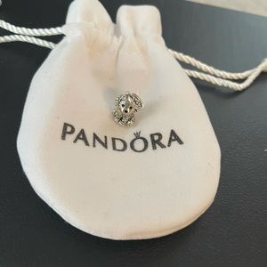 Pandora charm